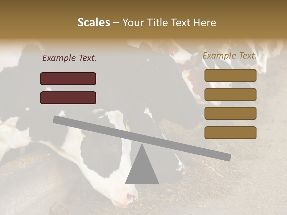 Stall Agricultural Herd PowerPoint Template