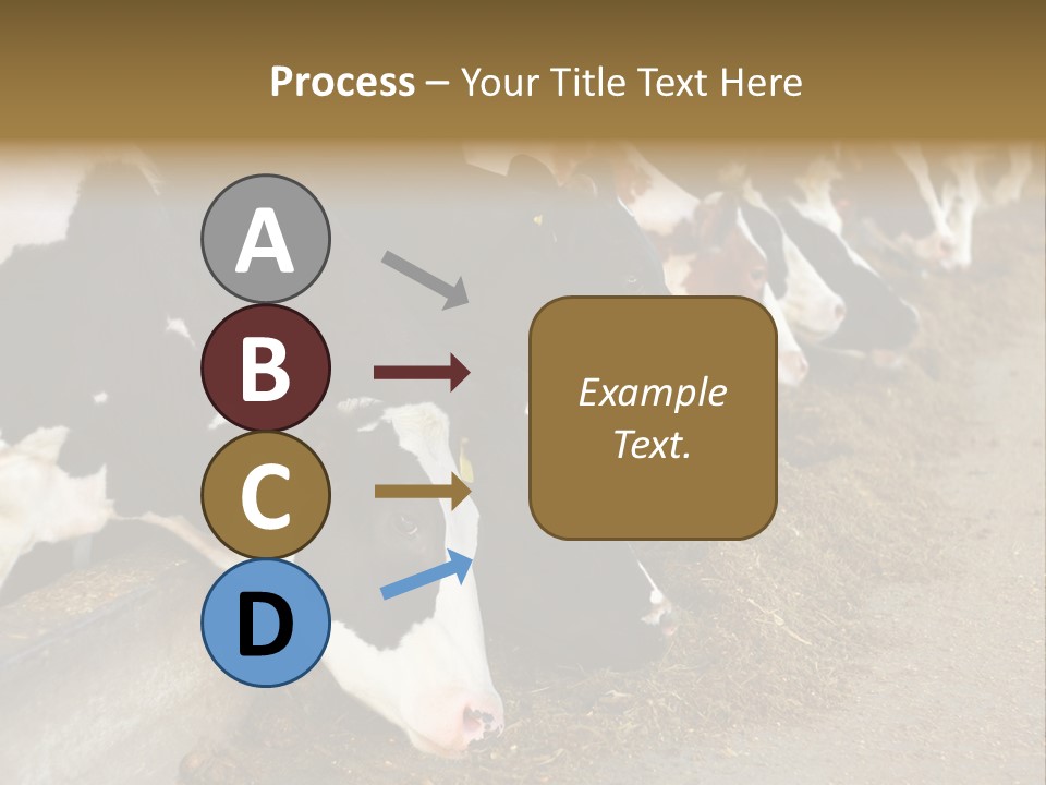 Stall Agricultural Herd PowerPoint Template