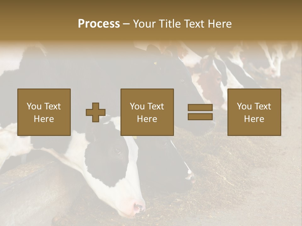 Stall Agricultural Herd PowerPoint Template