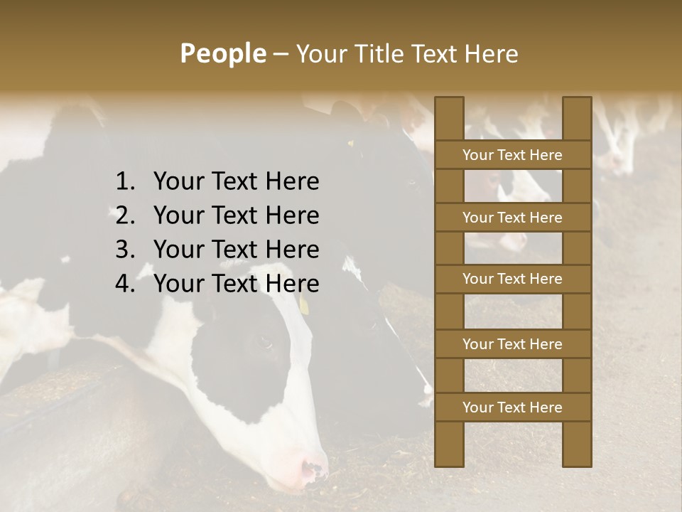 Stall Agricultural Herd PowerPoint Template