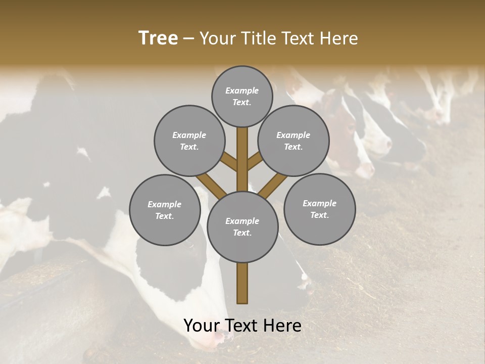 Stall Agricultural Herd PowerPoint Template