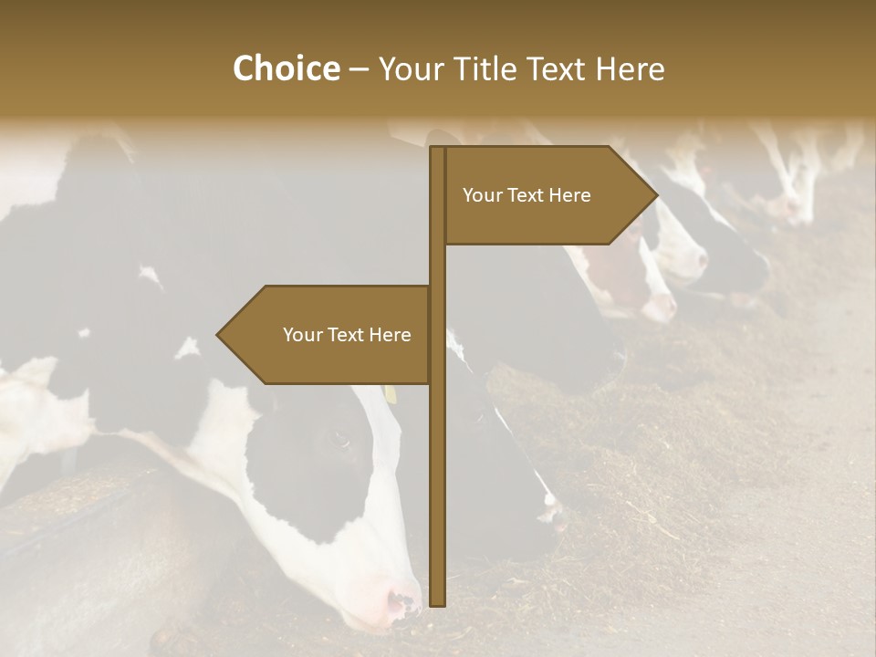 Stall Agricultural Herd PowerPoint Template