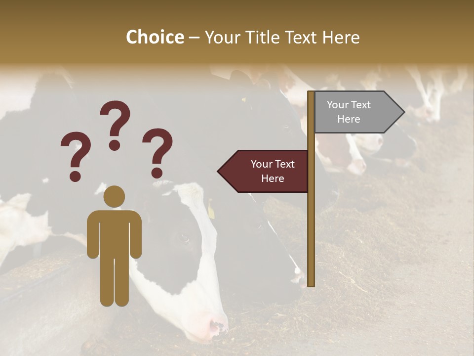 Stall Agricultural Herd PowerPoint Template
