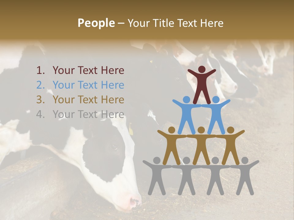 Stall Agricultural Herd PowerPoint Template