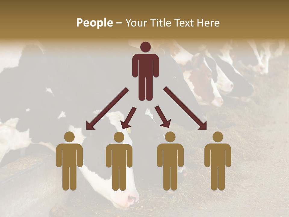 Stall Agricultural Herd PowerPoint Template