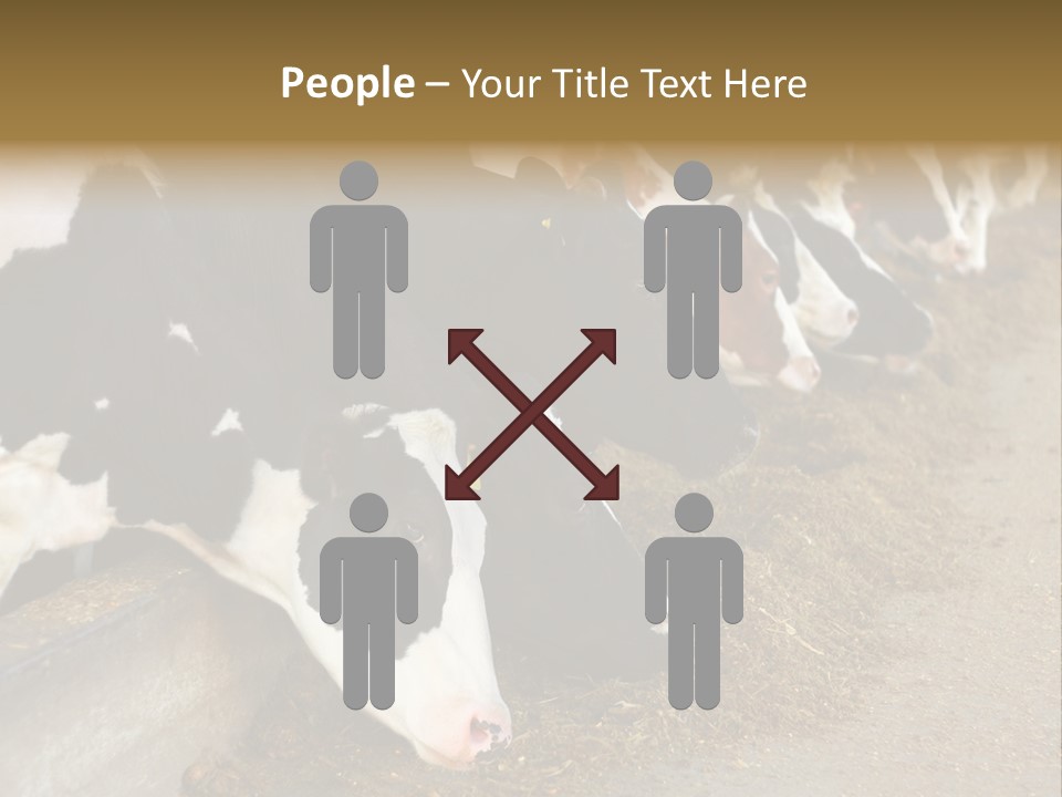 Stall Agricultural Herd PowerPoint Template