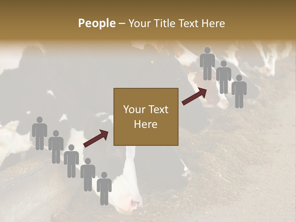 Stall Agricultural Herd PowerPoint Template