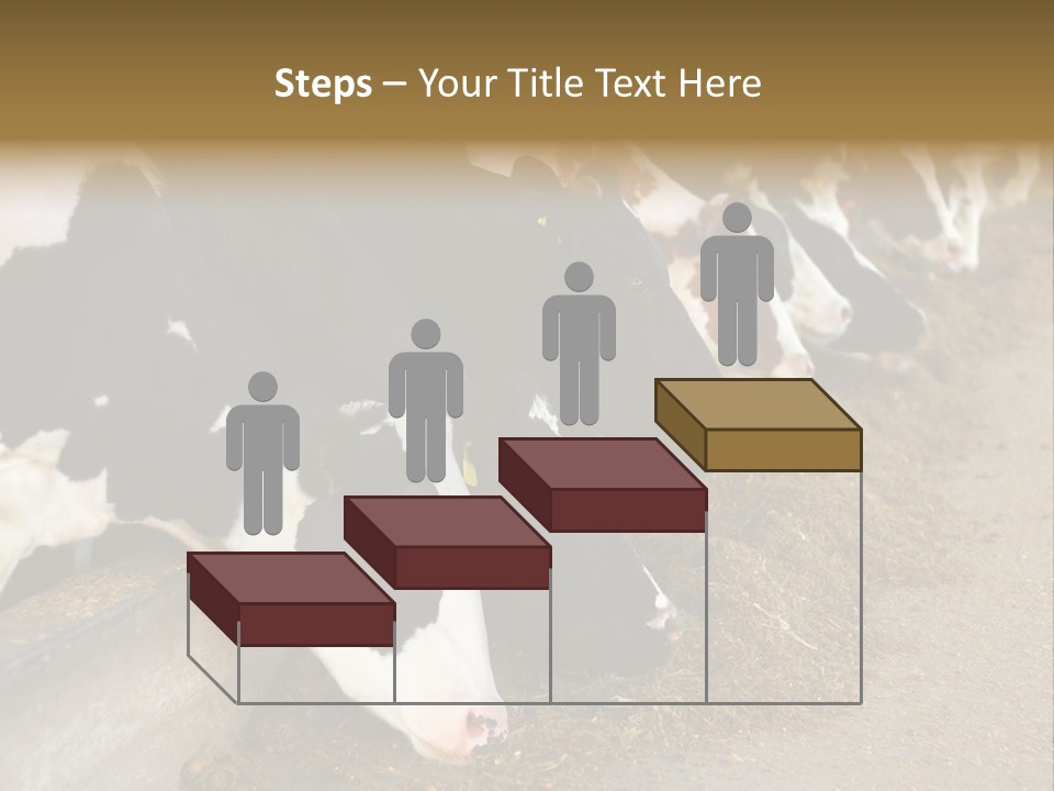Stall Agricultural Herd PowerPoint Template
