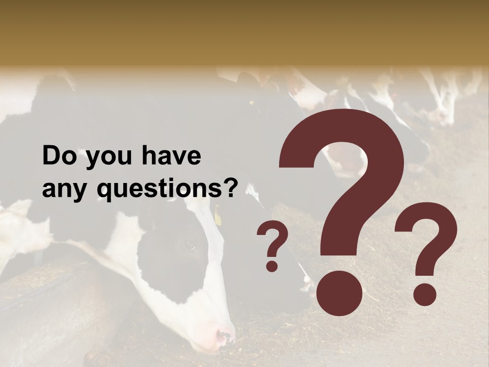 Stall Agricultural Herd PowerPoint Template