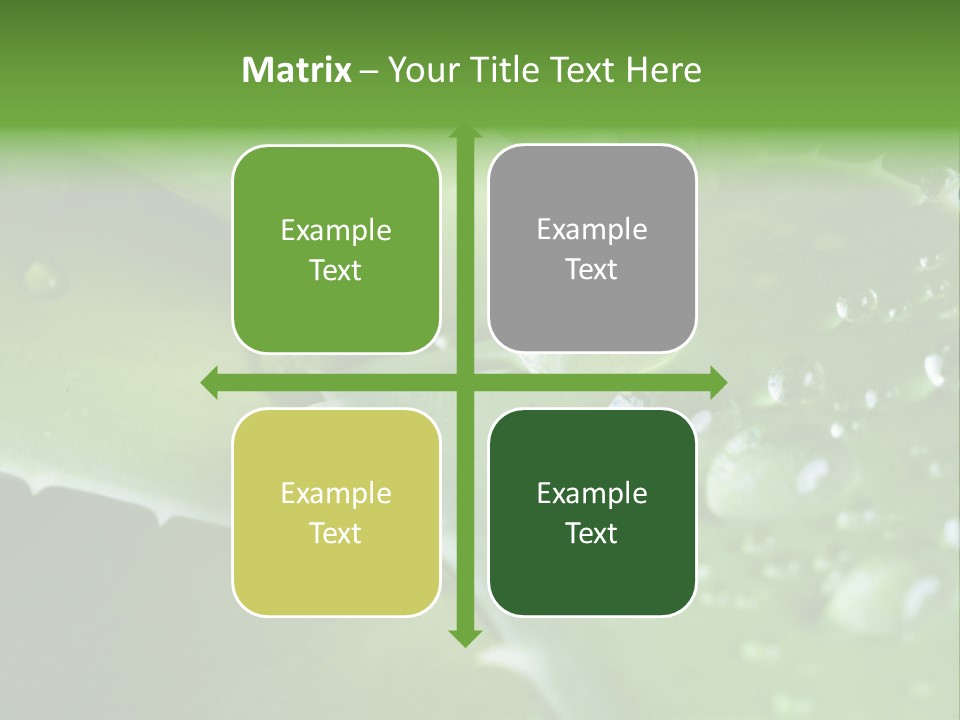 Health Leaf Treatment PowerPoint Template