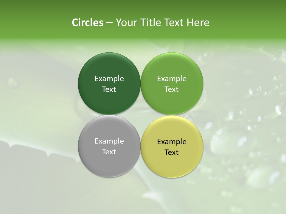 Health Leaf Treatment PowerPoint Template