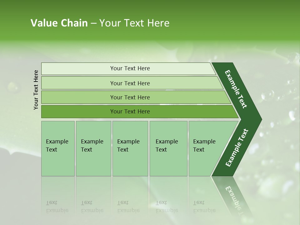Health Leaf Treatment PowerPoint Template