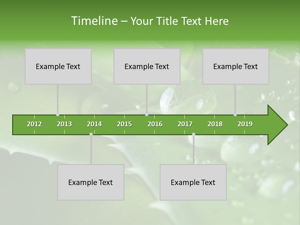 Health Leaf Treatment PowerPoint Template