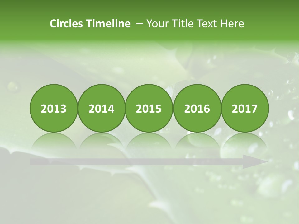 Health Leaf Treatment PowerPoint Template