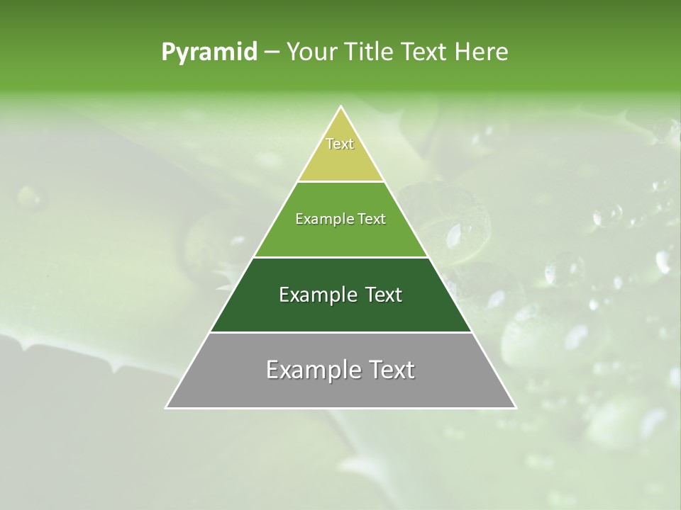 Health Leaf Treatment PowerPoint Template