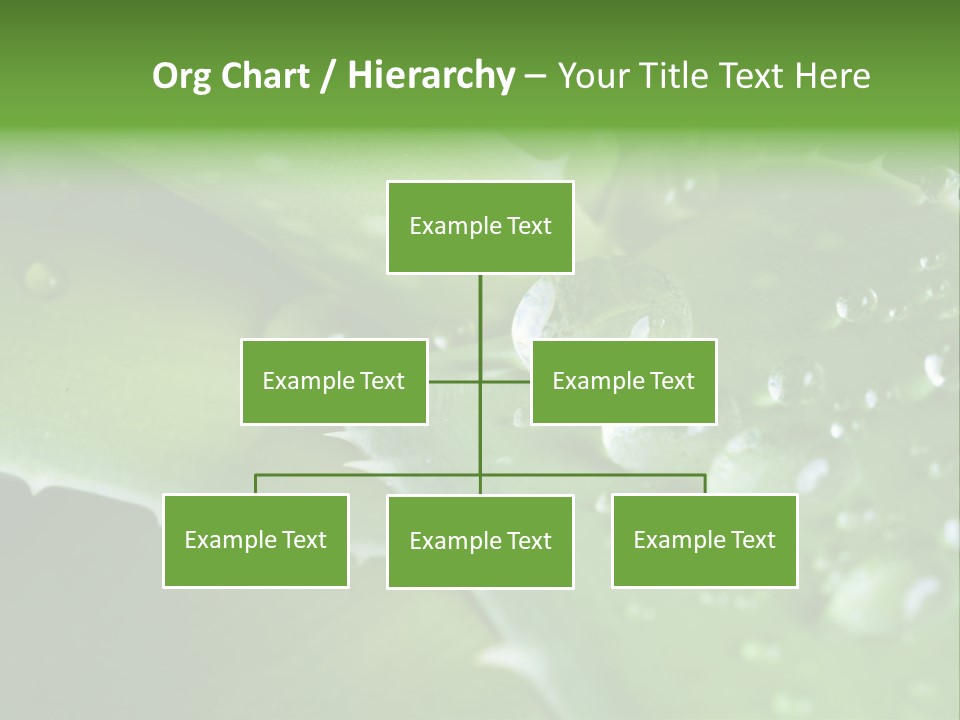 Health Leaf Treatment PowerPoint Template