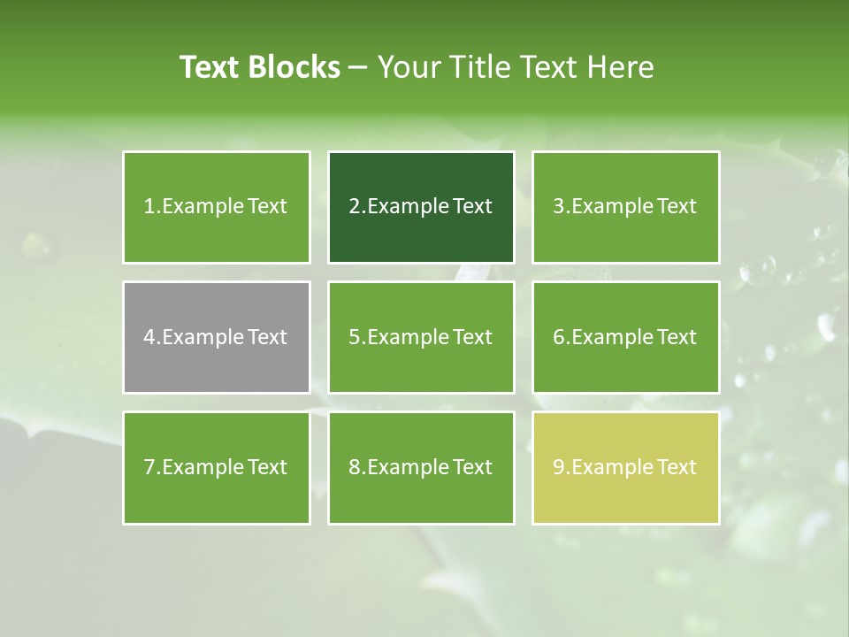 Health Leaf Treatment PowerPoint Template