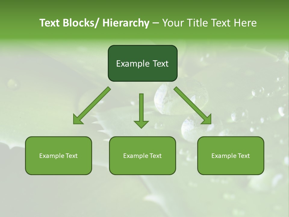 Health Leaf Treatment PowerPoint Template