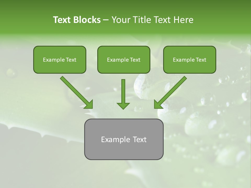 Health Leaf Treatment PowerPoint Template