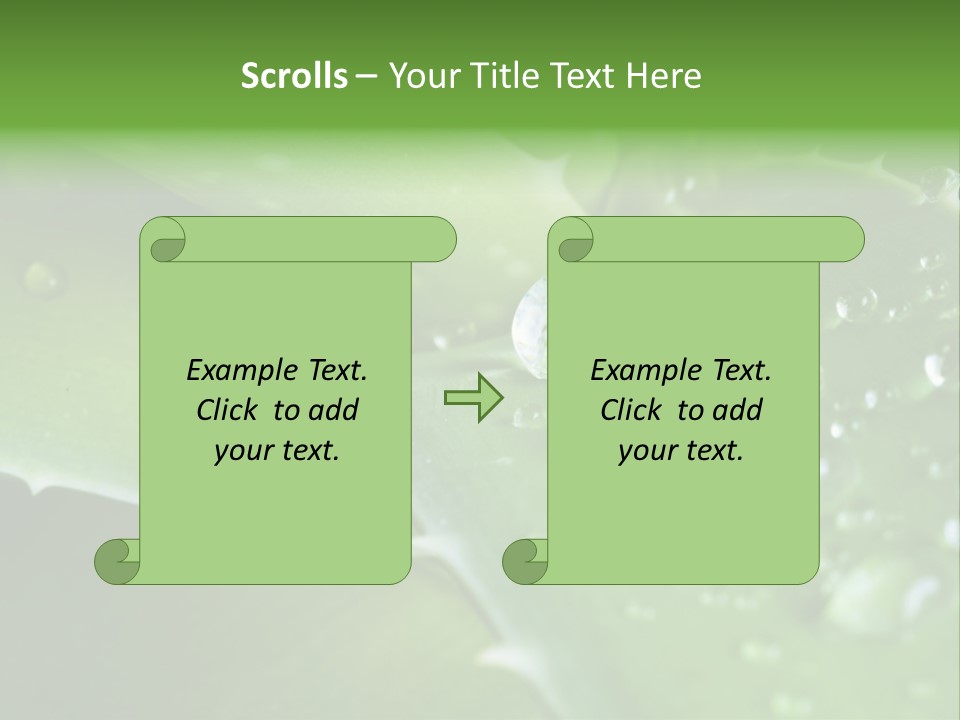 Health Leaf Treatment PowerPoint Template