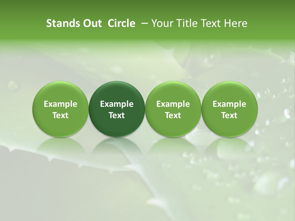 Health Leaf Treatment PowerPoint Template