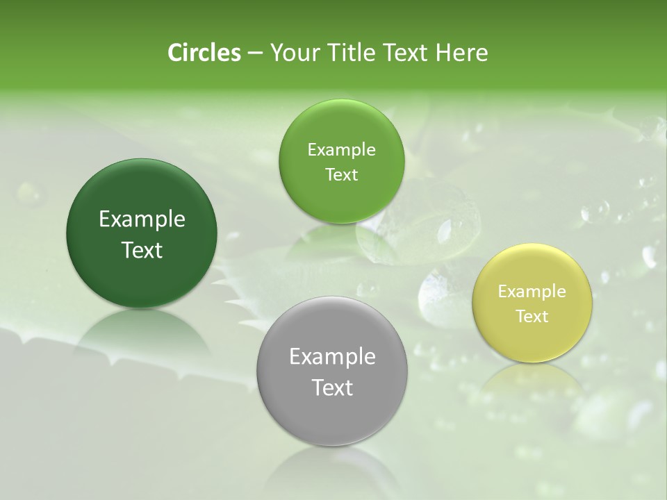 Health Leaf Treatment PowerPoint Template