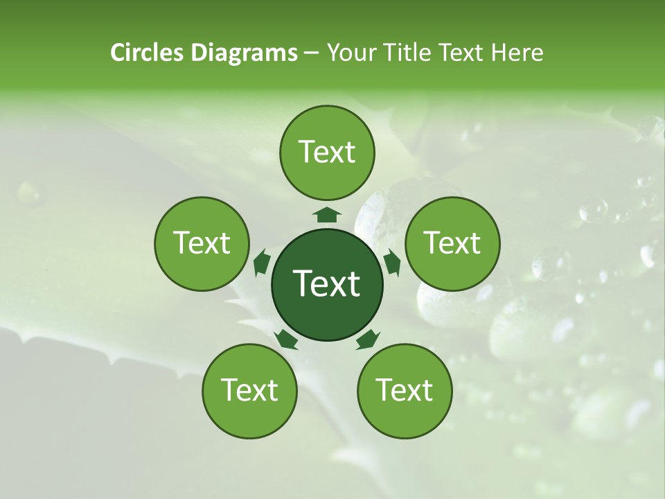 Health Leaf Treatment PowerPoint Template