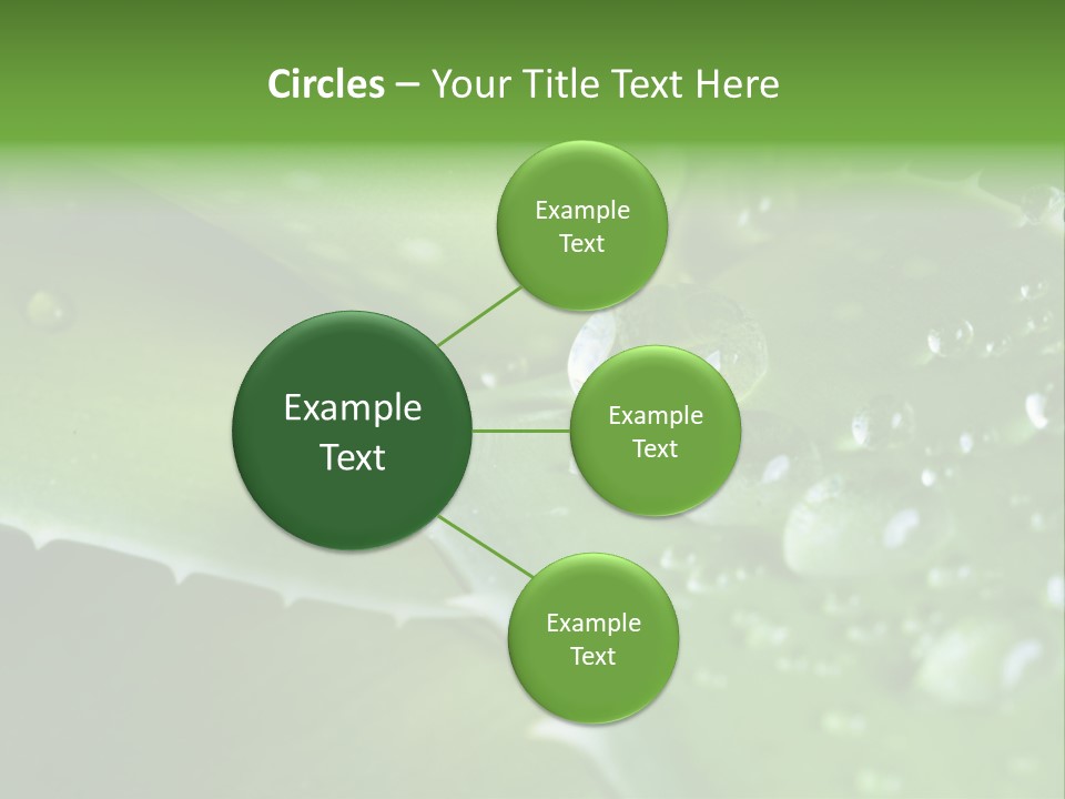 Health Leaf Treatment PowerPoint Template