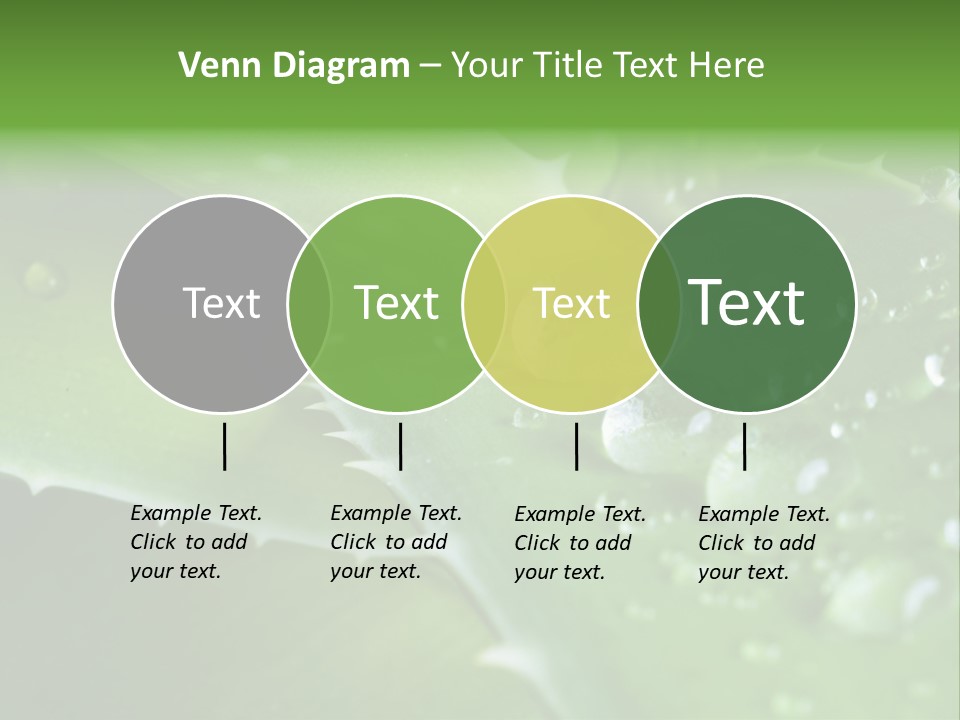 Health Leaf Treatment PowerPoint Template
