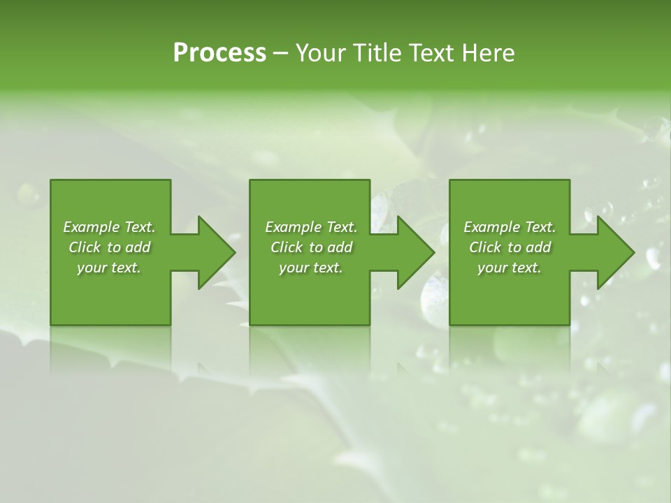 Health Leaf Treatment PowerPoint Template