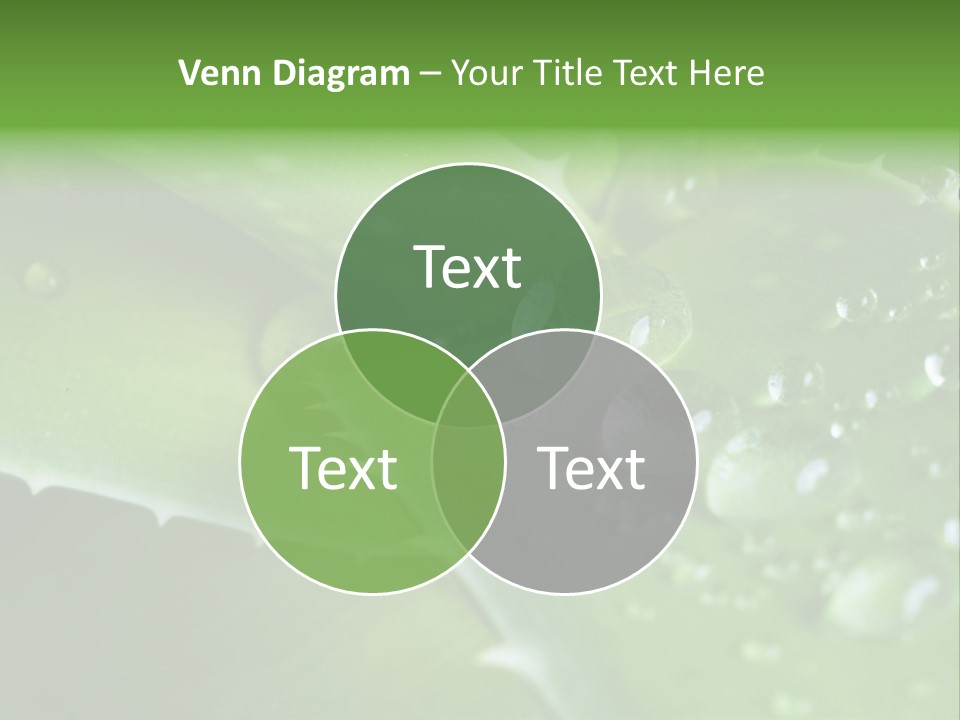 Health Leaf Treatment PowerPoint Template