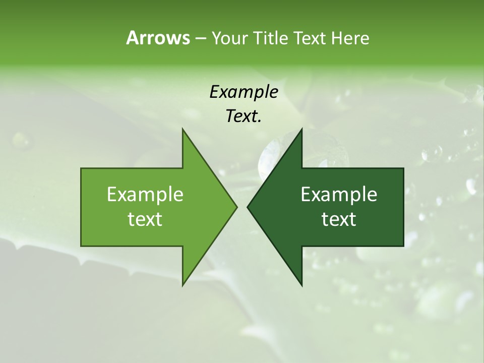 Health Leaf Treatment PowerPoint Template
