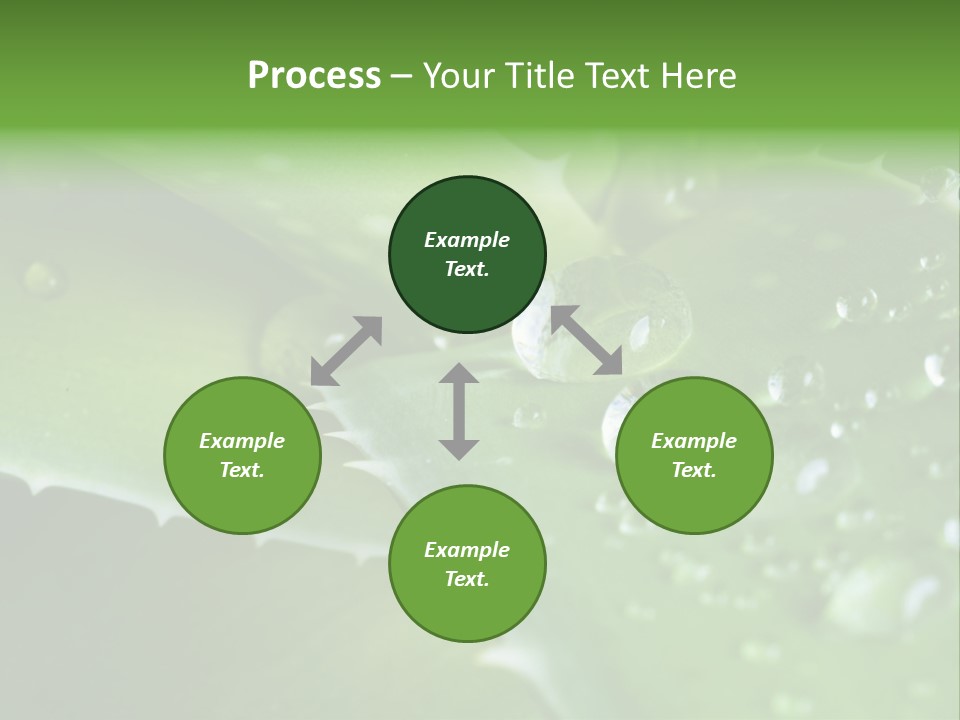 Health Leaf Treatment PowerPoint Template