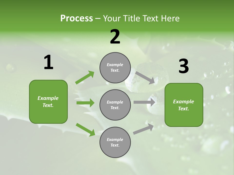 Health Leaf Treatment PowerPoint Template