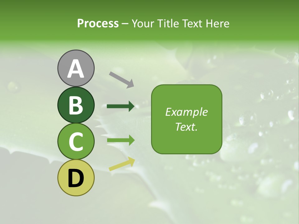Health Leaf Treatment PowerPoint Template