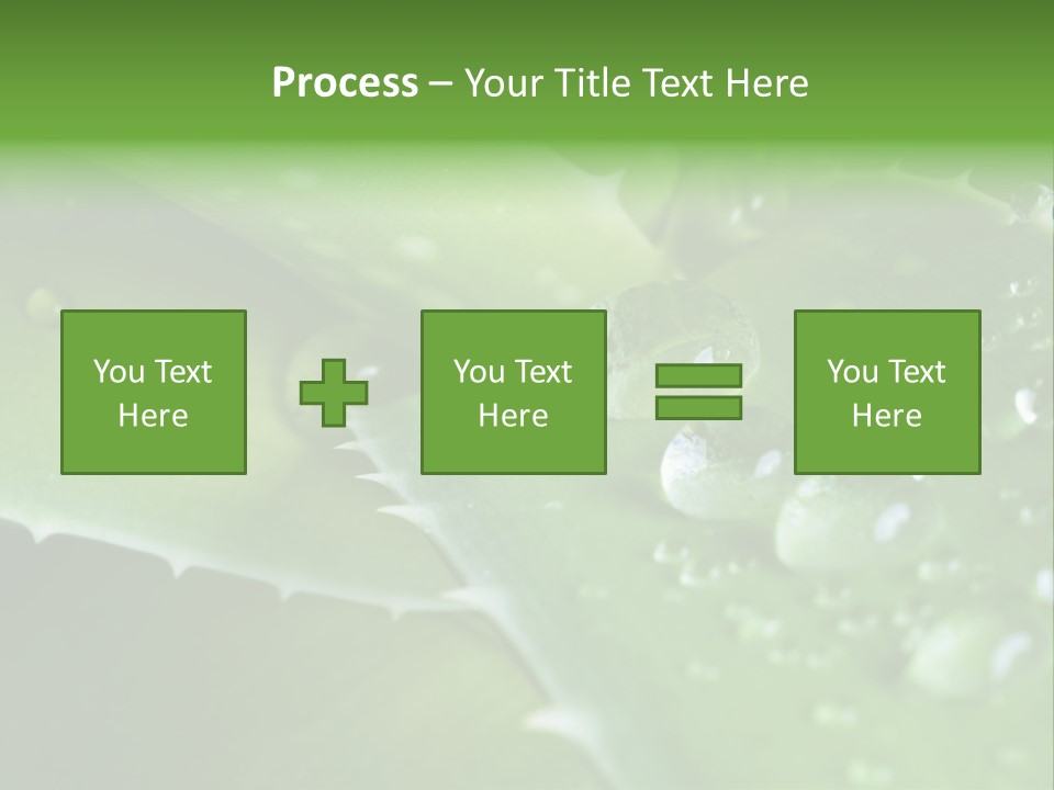 Health Leaf Treatment PowerPoint Template