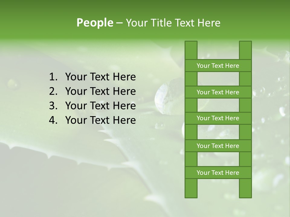 Health Leaf Treatment PowerPoint Template