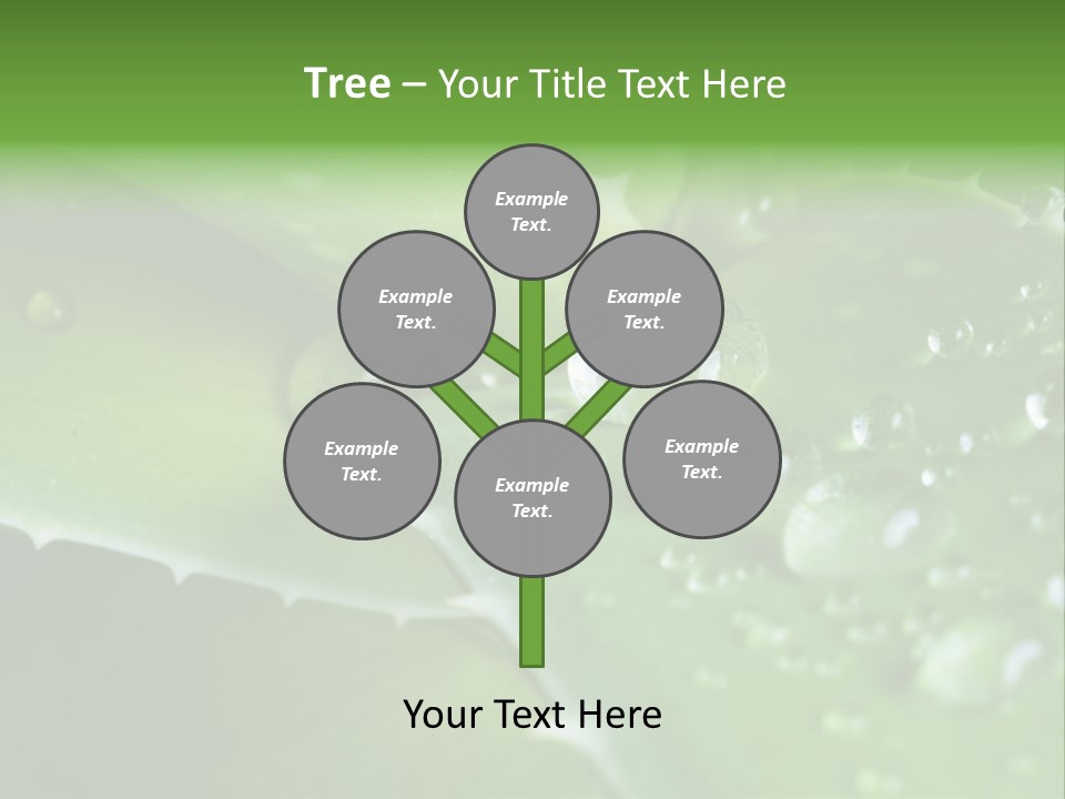 Health Leaf Treatment PowerPoint Template
