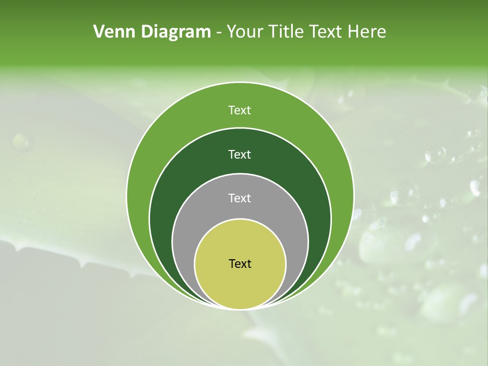 Health Leaf Treatment PowerPoint Template