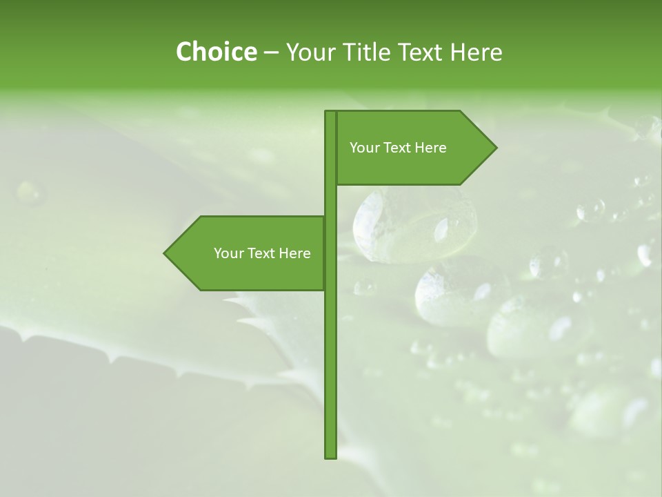 Health Leaf Treatment PowerPoint Template