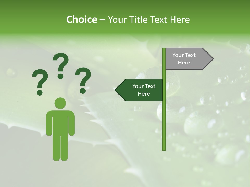 Health Leaf Treatment PowerPoint Template