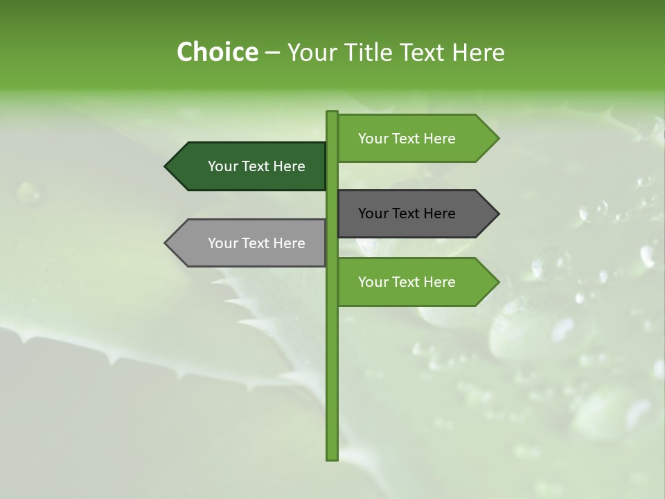 Health Leaf Treatment PowerPoint Template