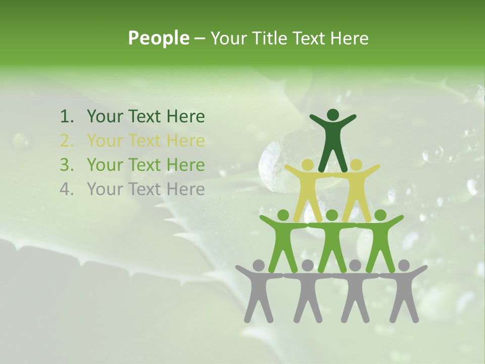 Health Leaf Treatment PowerPoint Template