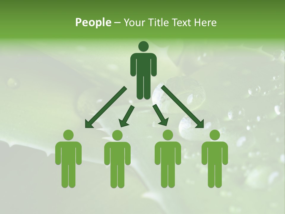 Health Leaf Treatment PowerPoint Template