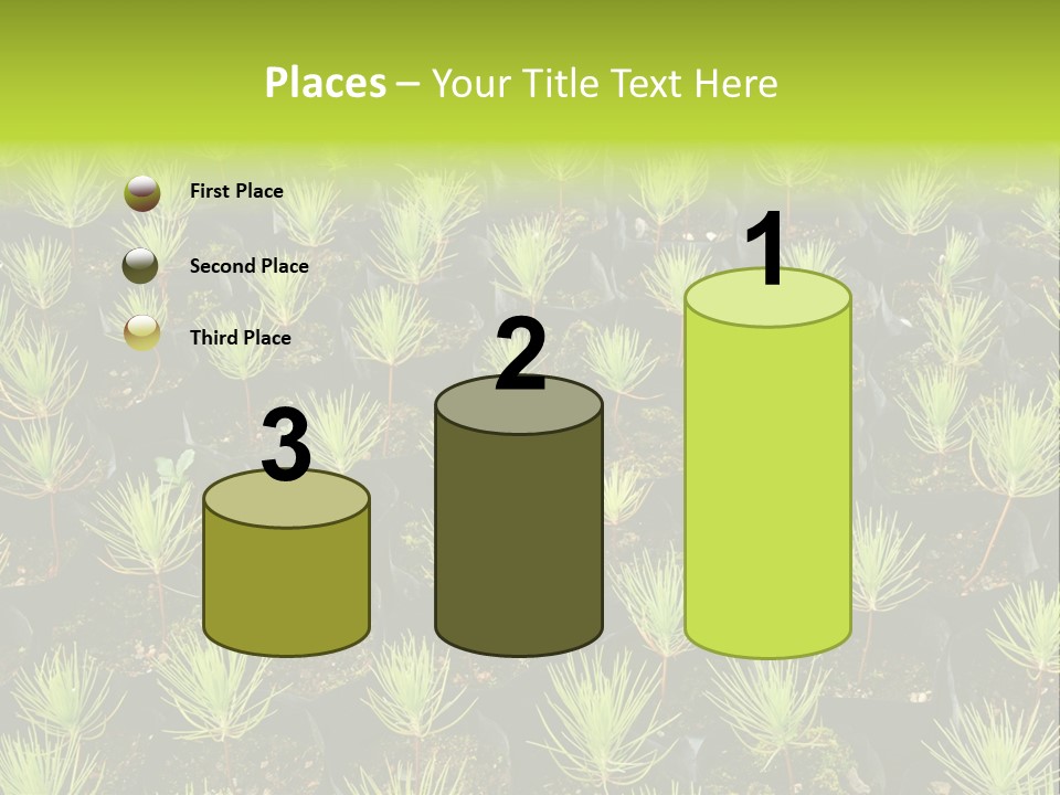 Life Development Gain PowerPoint Template