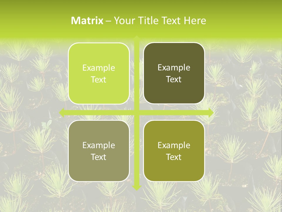 Life Development Gain PowerPoint Template