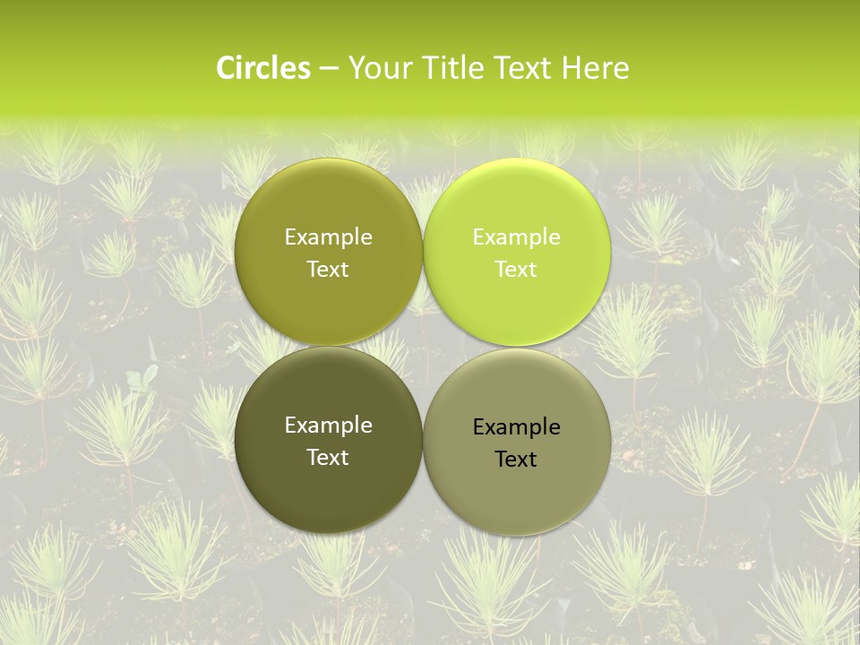 Life Development Gain PowerPoint Template