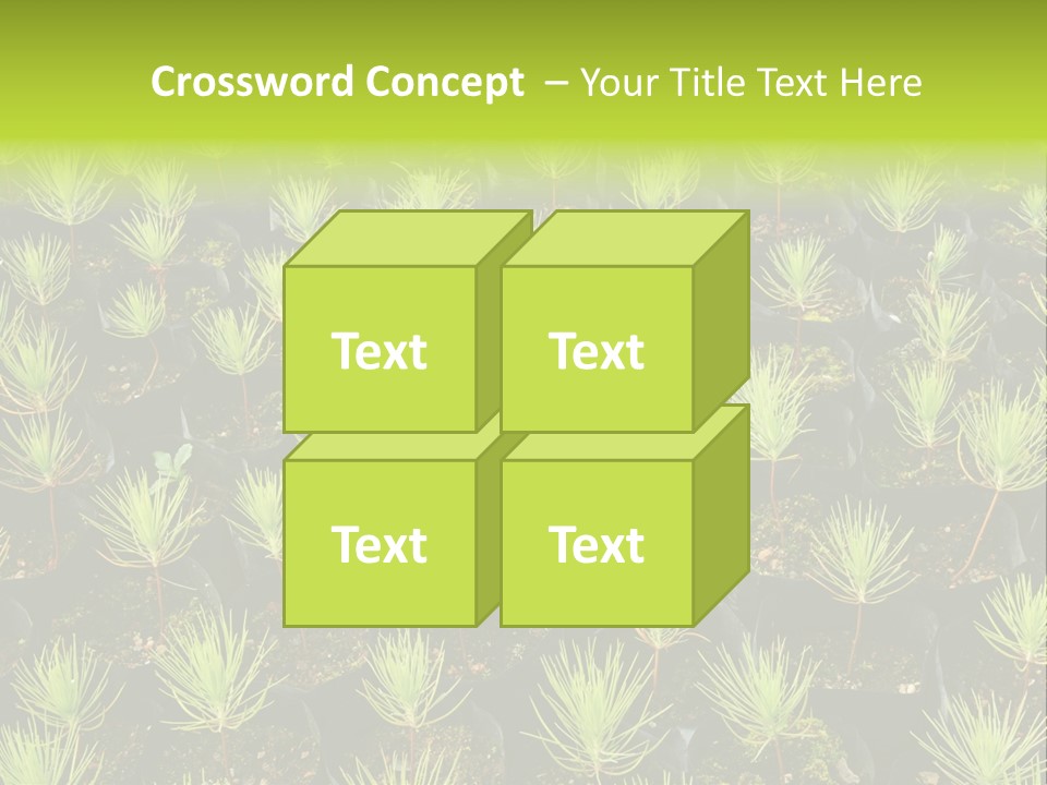 Life Development Gain PowerPoint Template