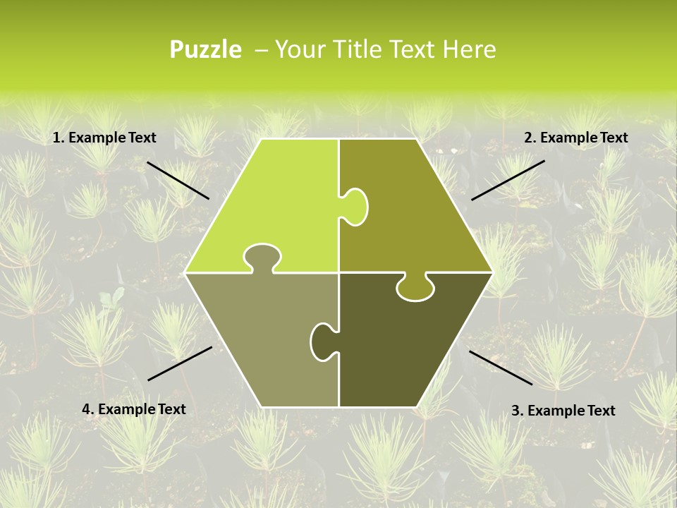 Life Development Gain PowerPoint Template