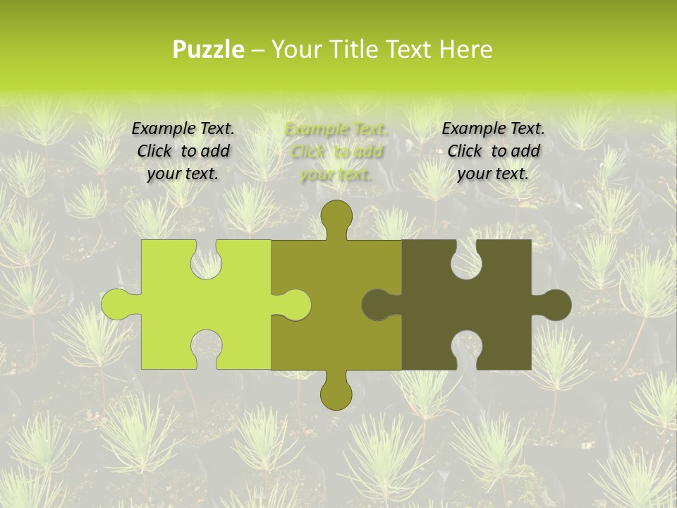 Life Development Gain PowerPoint Template